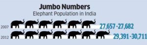 elephant population in india