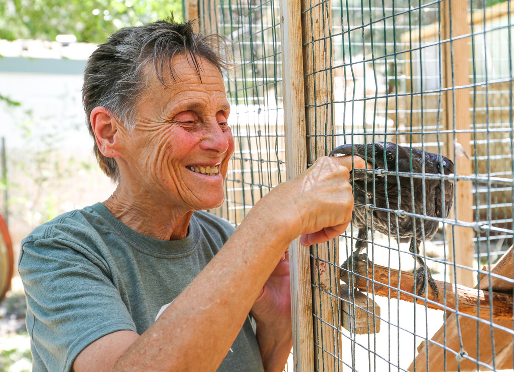 caring-for-injured-wildlife-in-the-eastern-sierras-adventure