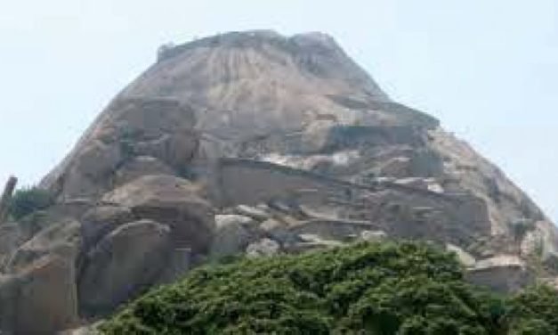 Karnataka: Year of Wild’! Eco-trails catching up very fast
