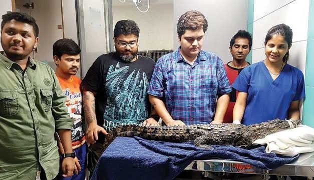 4.4-ft long crocodile rescued from drain in Mulund